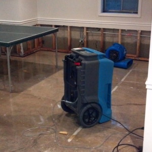 Photo of Water Damage Certified