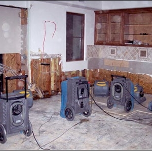 Photo of Water Damage Certified