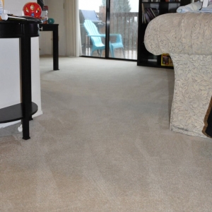 Portland Bridge Town Carpet Cleaning