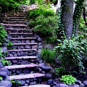 Photo of EcoLogic Landscaping