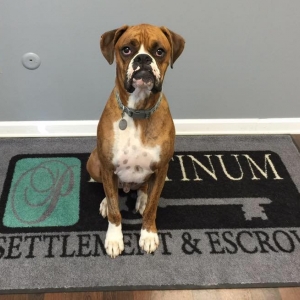 Coraopolis Platinum Settlement and Escrow
