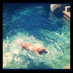 Photo of Modern Pool and Spa Services