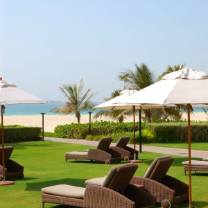 Photo of Artificial Grass Pros Of Miami