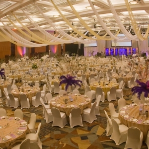 Photo of One Source Event Rentals