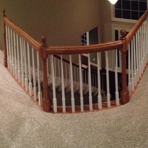 Photo of The Carpet Guys
