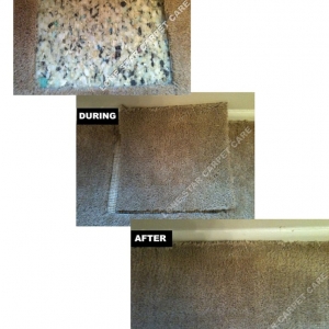 Photo of Lone Star Carpet Cleaning & Repairs