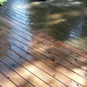 Portland Hydro Power Wash