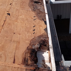 Photo of Carolina Custom Roofing & Maintenance