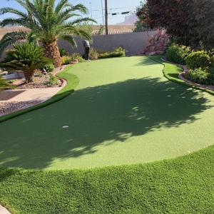 Photo of Las Vegas Artificial Lawns