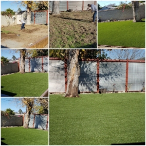 Photo of Azusa Turf