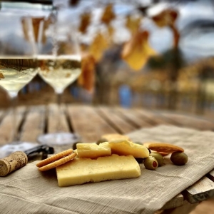 Photo of Orfila Vineyards & Winery