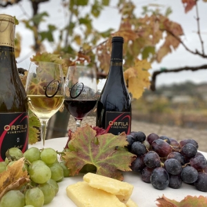 Photo of Orfila Vineyards & Winery