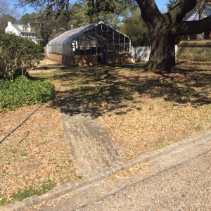 Photo of Max Landscaping & ETC