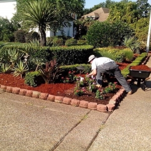 Photo of Max Landscaping & ETC