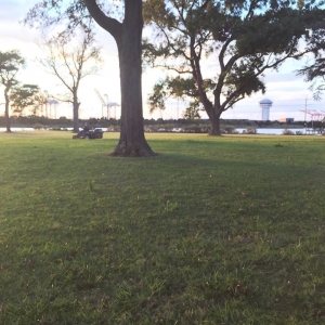 Photo of Max Landscaping & ETC