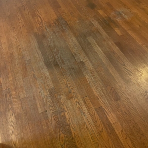 Photo of JL Hardwood Floor Refinishers
