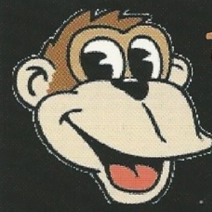 Photo of Carpet Monkey