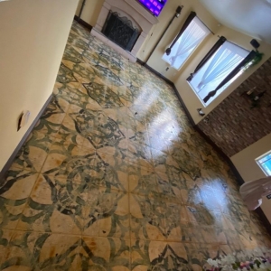 Photo of Carpet Monkey