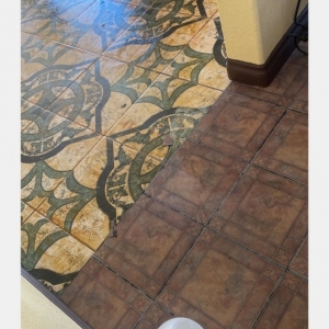 Photo of Carpet Monkey