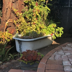Photo of Poirier Garden Designs