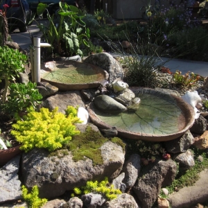 Photo of Poirier Garden Designs
