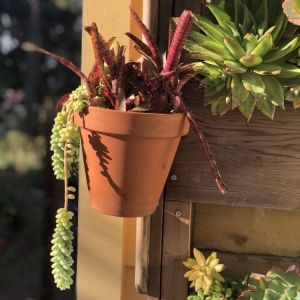 Photo of Poirier Garden Designs