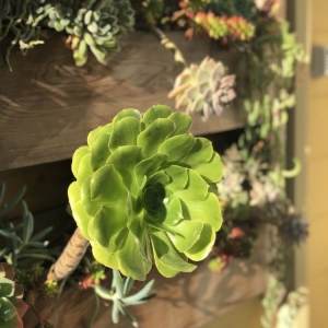 Photo of Poirier Garden Designs