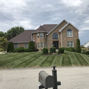 Photo of TruScape