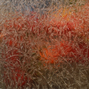 Photo of Colorado Cabinet Glass