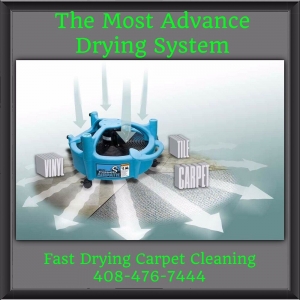 Photo of Fast Drying Carpet Cleaning