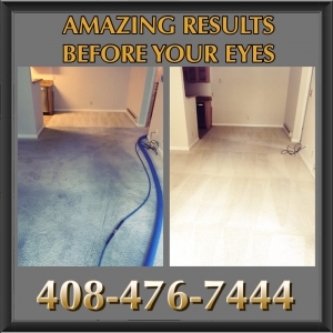 Photo of Fast Drying Carpet Cleaning