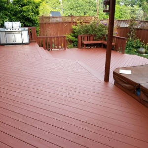 Photo of Deck Medic