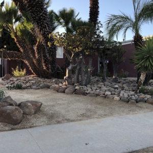 Photo of Banyan's Landscaping Maintenance