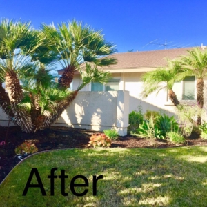 Photo of Banyan's Landscaping Maintenance