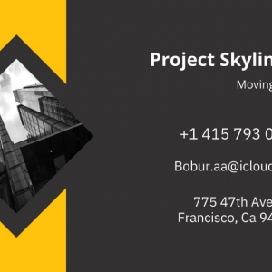 Photo of Project Skyline