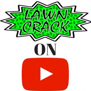 Photo of Lawn Crack