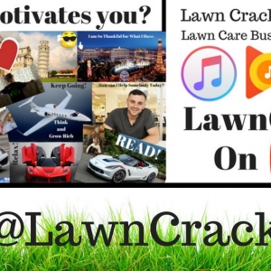 Photo of Lawn Crack