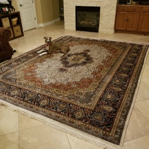 Photo of Delicate Rug Care