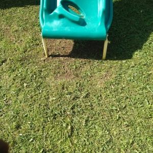 Photo of Semper Fi Lawn Care