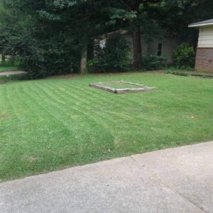 Photo of Semper Fi Lawn Care