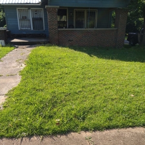 Photo of Semper Fi Lawn Care
