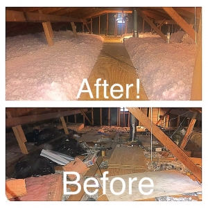 Photo of Attica Green Solution