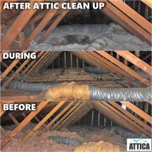 Photo of Attica Green Solution