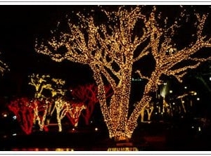 Photo of The Christmas Light Pros