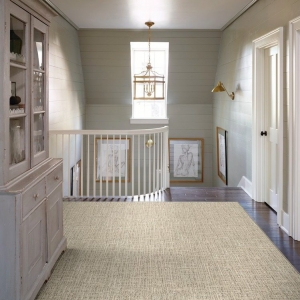 Photo of Americarpet