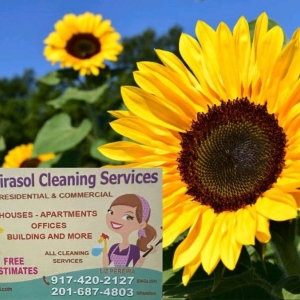 Union City Girasol Cleaning Services
