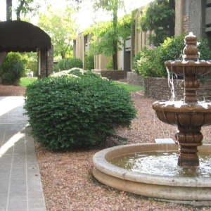 Phoenix Valley Wide Preferred Properties