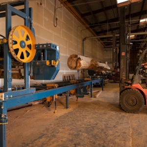 Photo of Jackel Enterprises