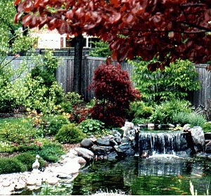 Photo of Russel J. Lokun Landscape Design