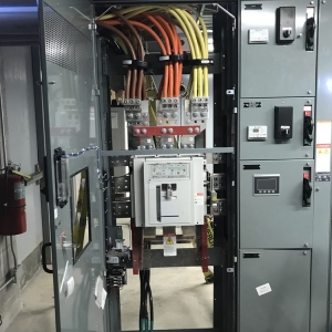 Photo of Blue Ladder Electric